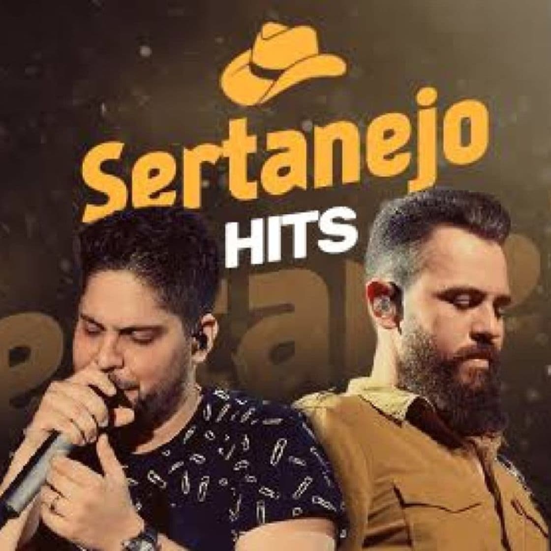 Music Sertanejo