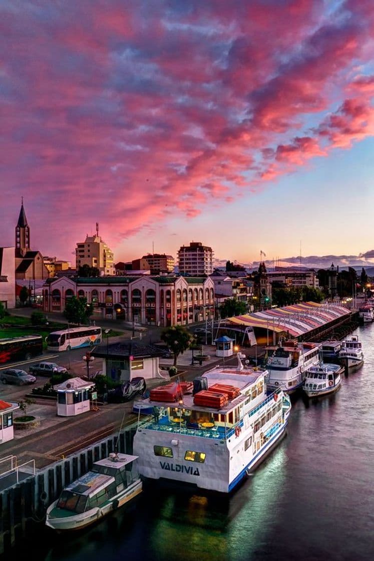 Place Valdivia