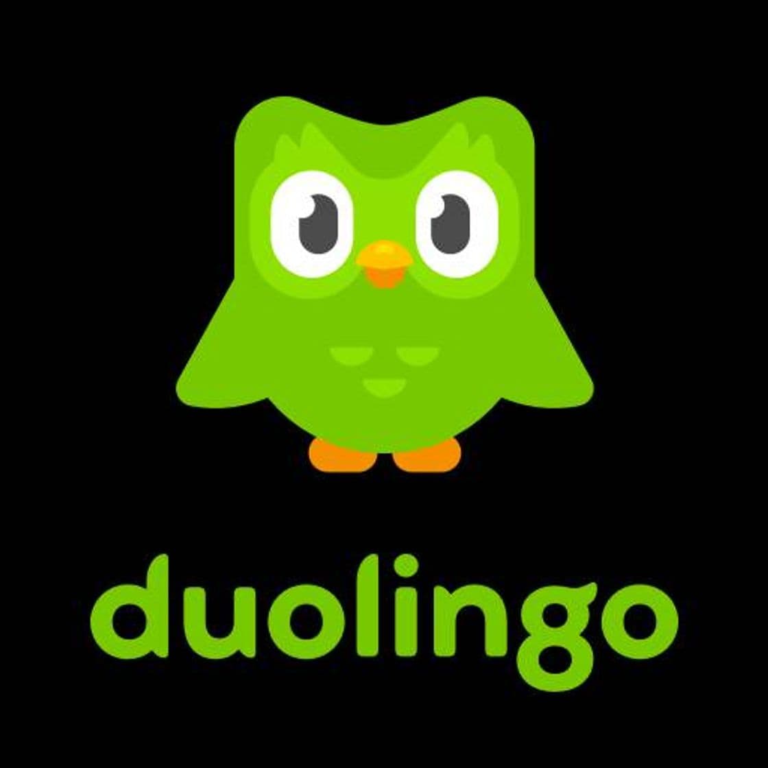 App Duolingo - Language Lessons