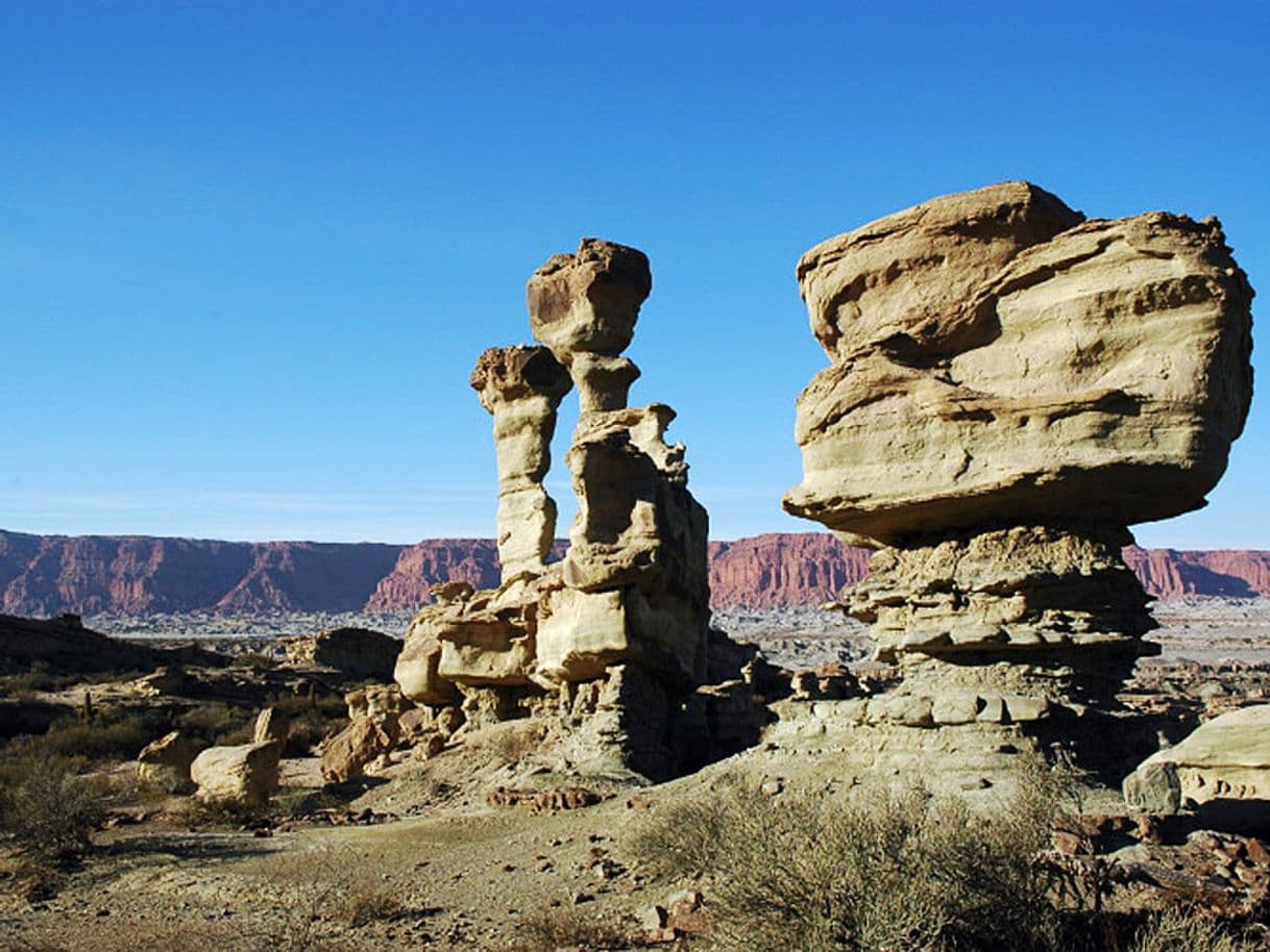 Place Parque Provincial Ischigualasto