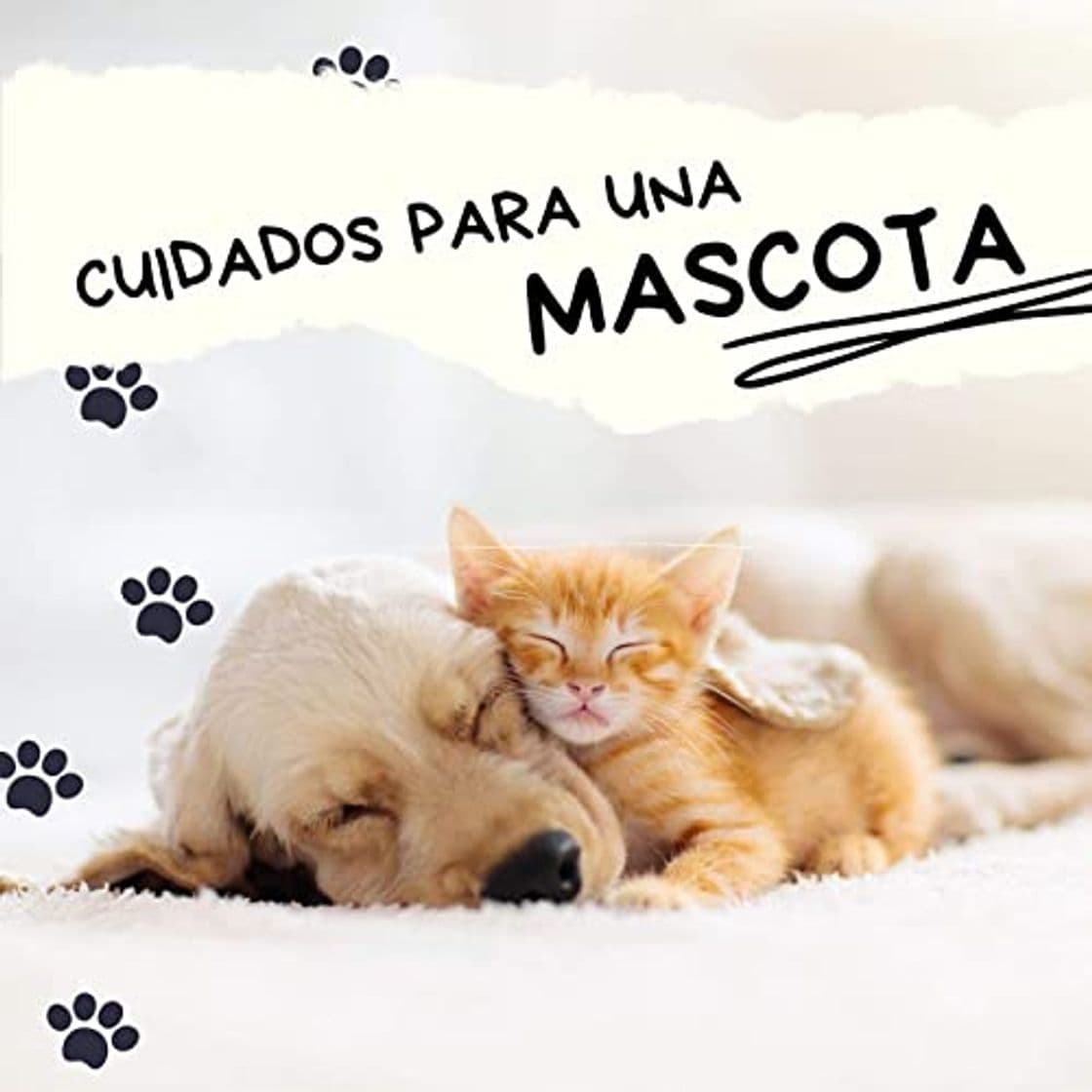 Fashion Música para dormir GATOS Y PERROS 