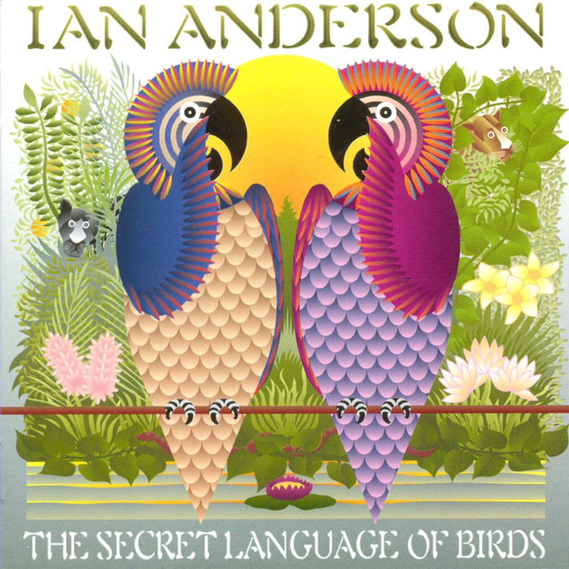 Canción The Secret Language Of Birds