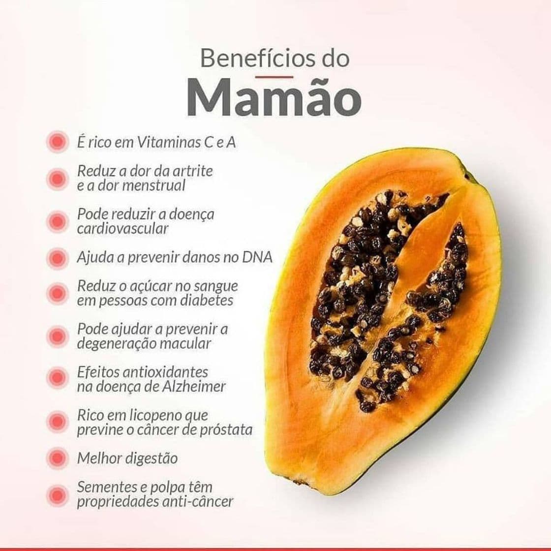 Moda Alimentação 