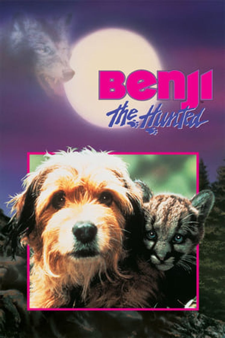 Película Benji the Hunted