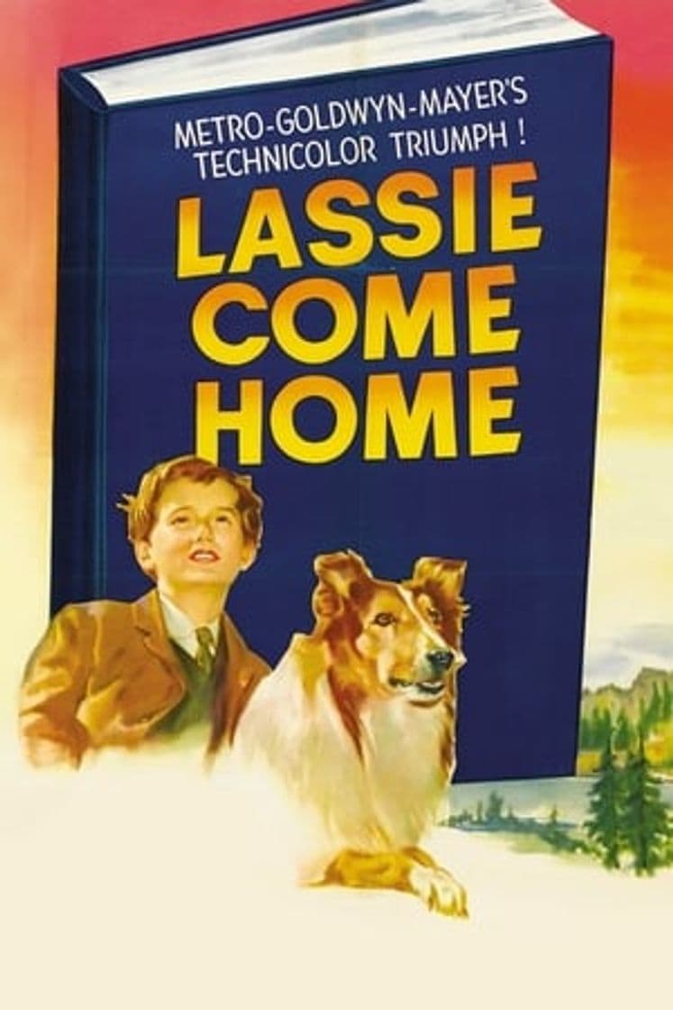 Película Lassie Come Home