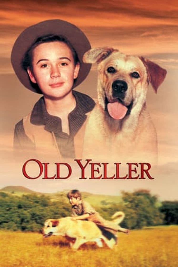 Película Old Yeller