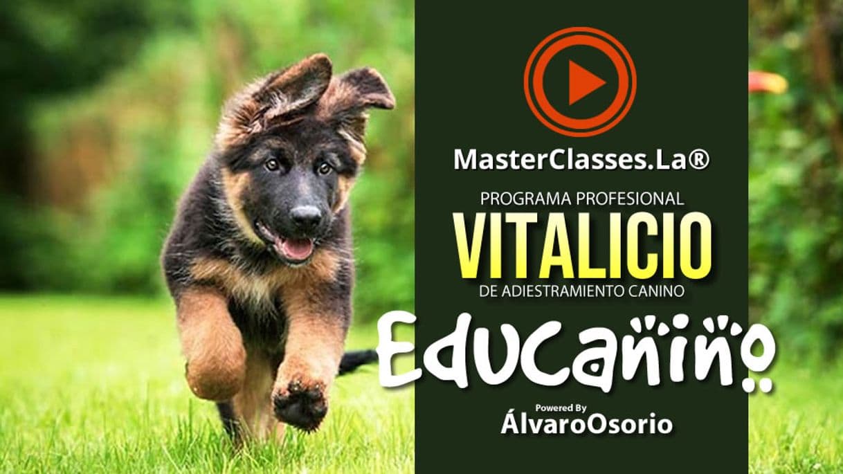 Producto EDUCANINO