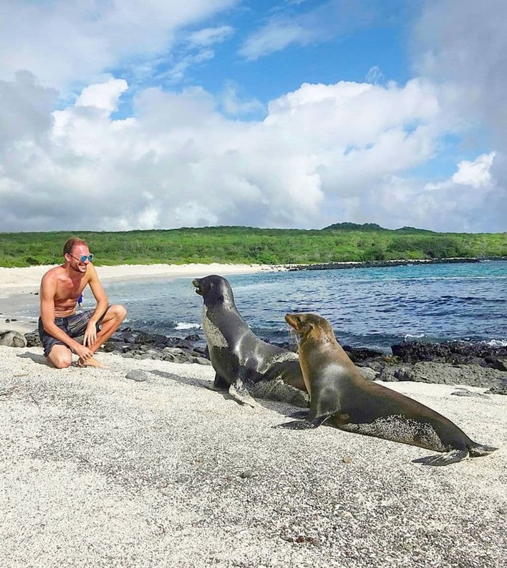 Fashion Islas Galápagos: paraíso natural de Ecuador - Guía de Viajes