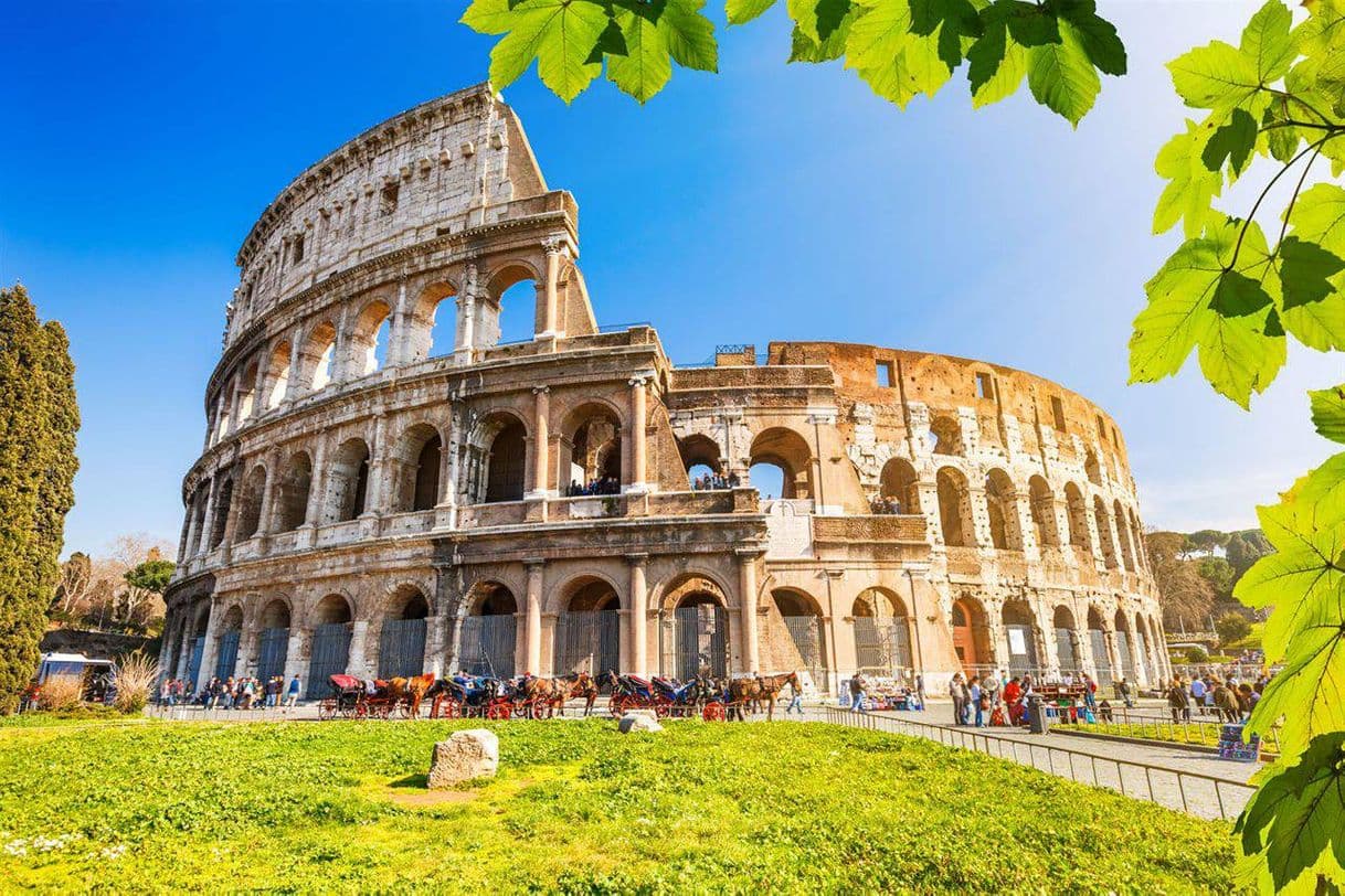 Lugar Coliseo de Roma