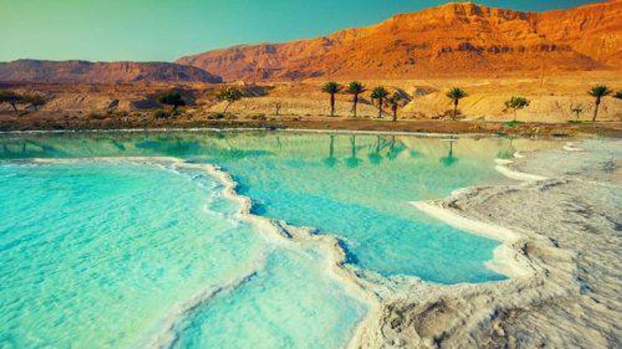 Lugar Dead Sea