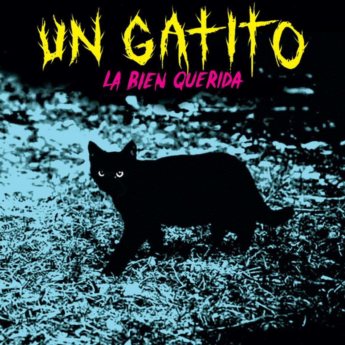 Music Un Gatito