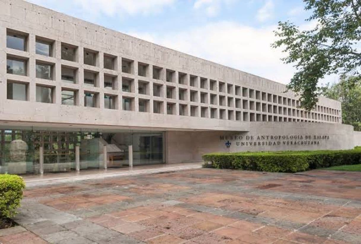 Place Museo de Antropología de Xalapa