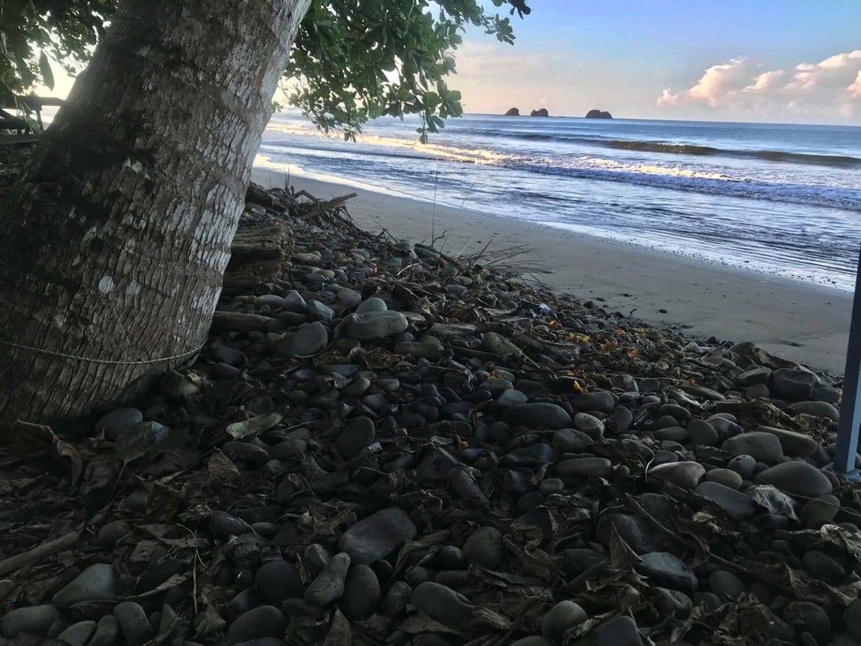 Place Parque Nacional Marino Ballena