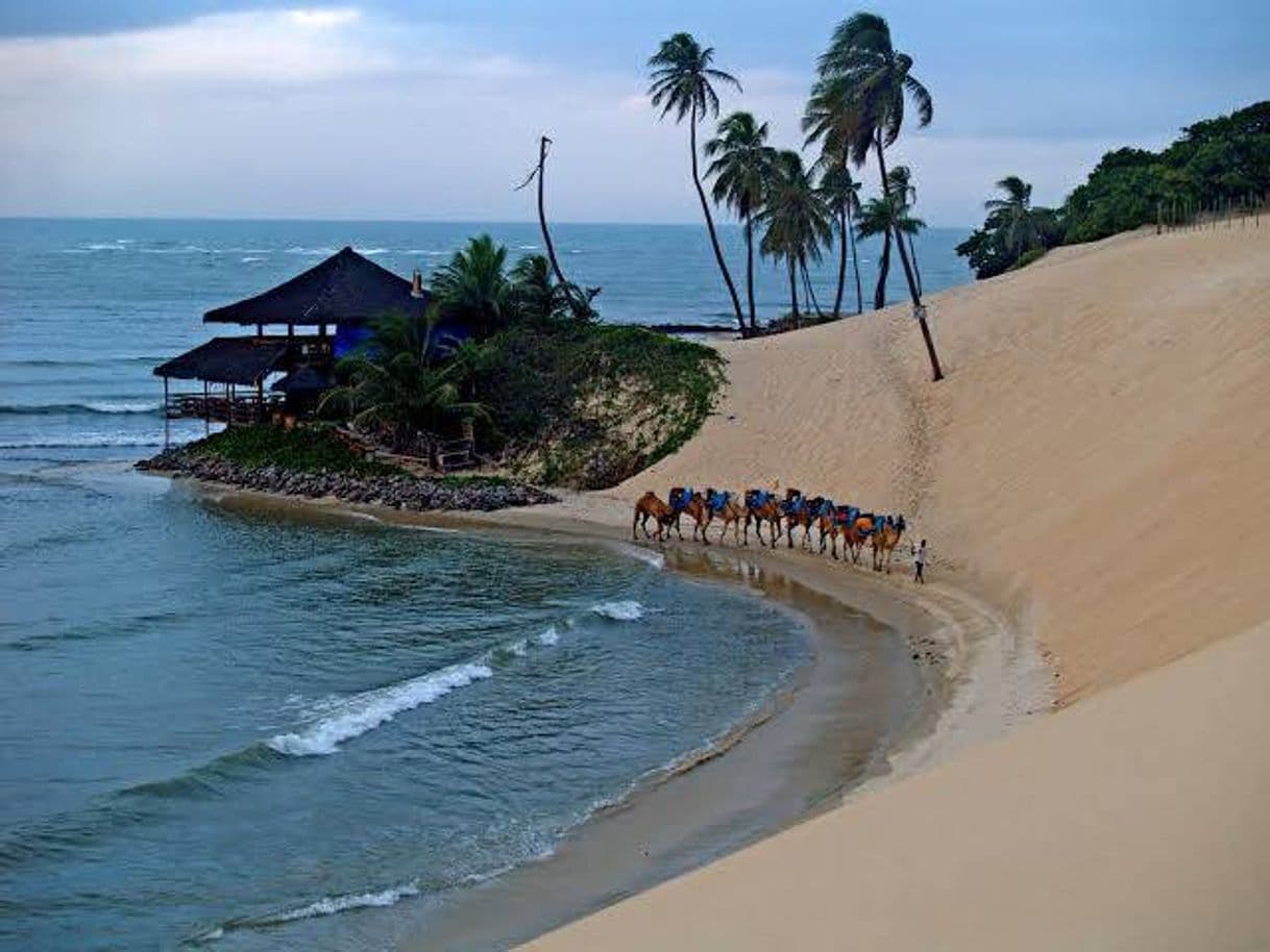 Lugar Praia de Genipabu