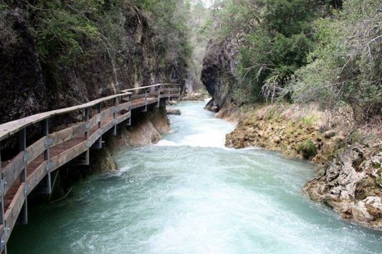 Lugar Río Borosa