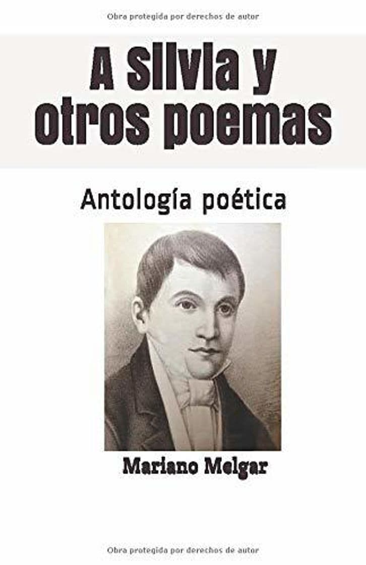 Book A Silvia y otros poemas