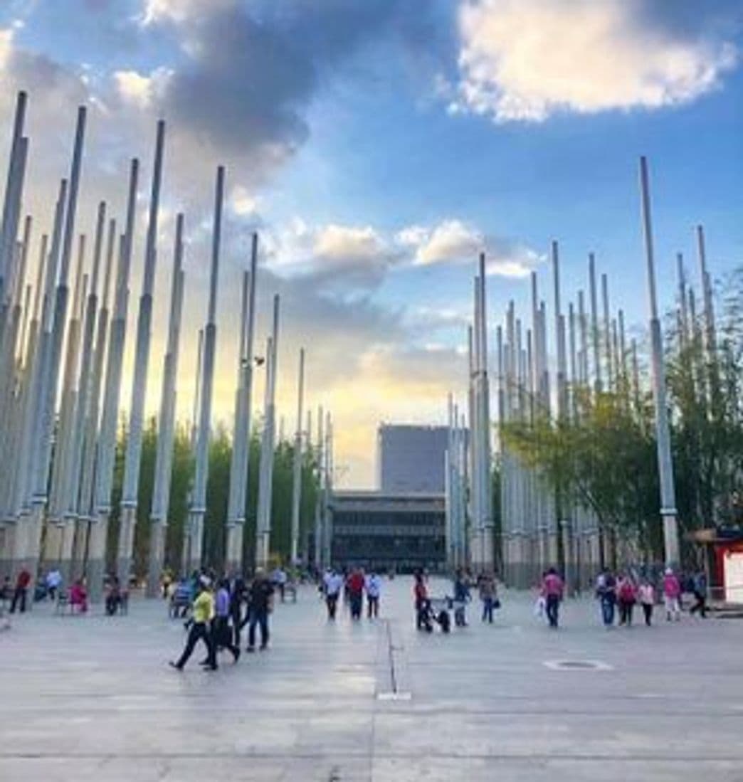 Place Plaza de las Luces Medellin.