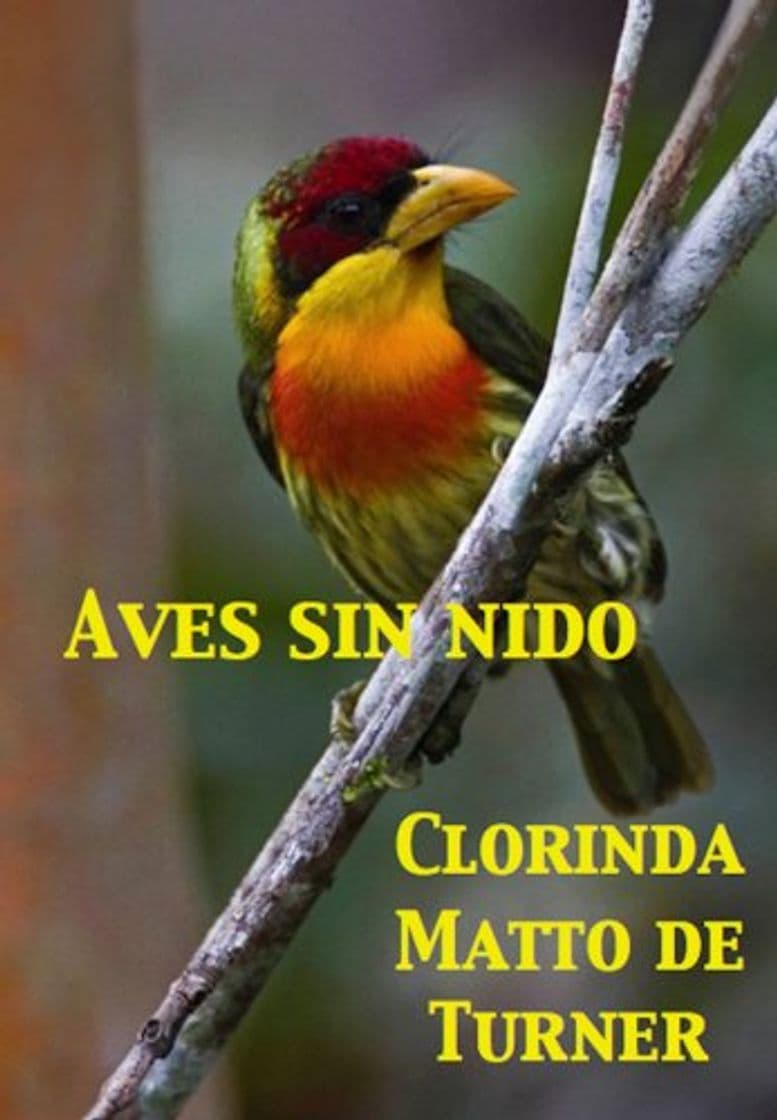 Book Aves sin nido