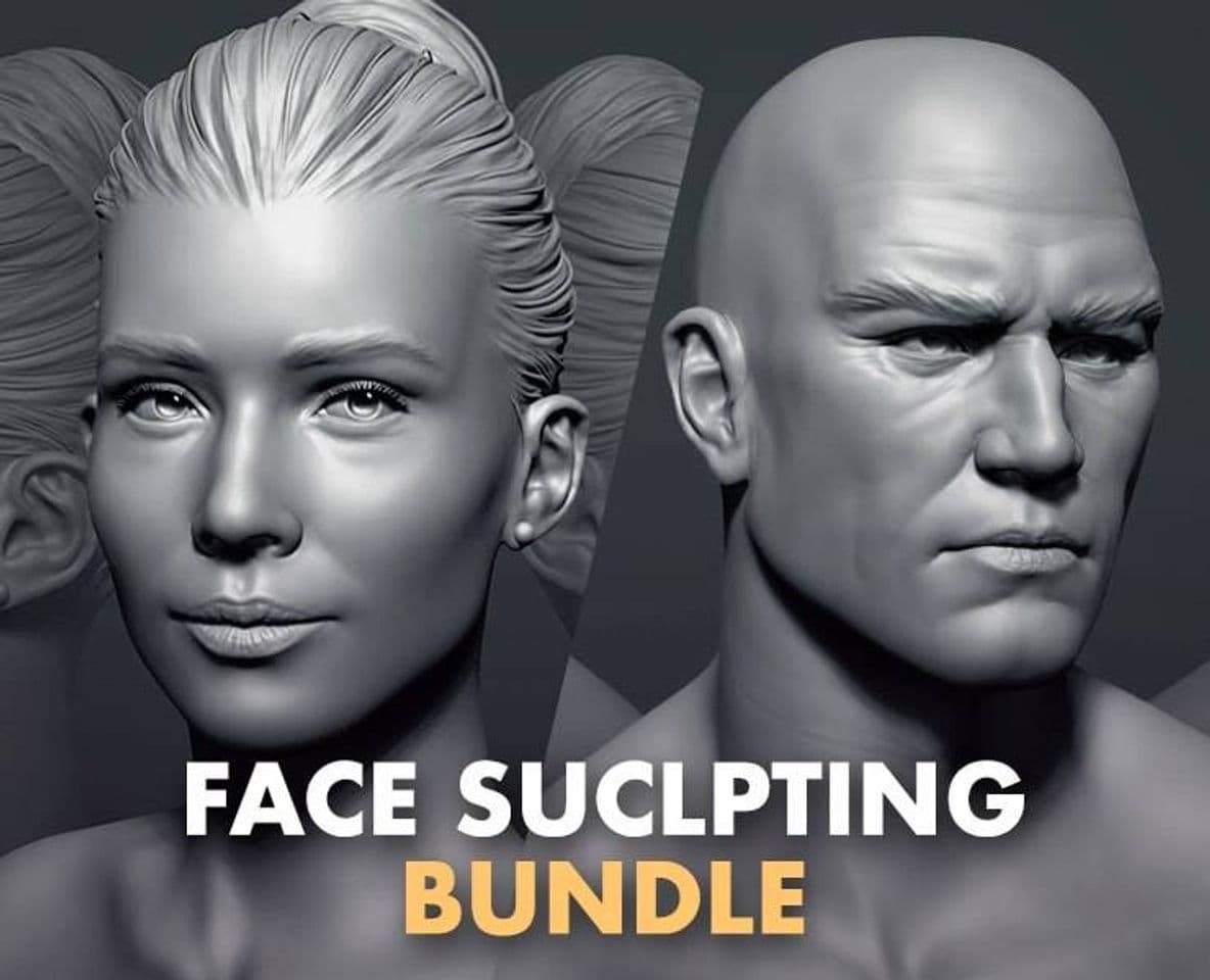 Moda Face Sculpting Bundle