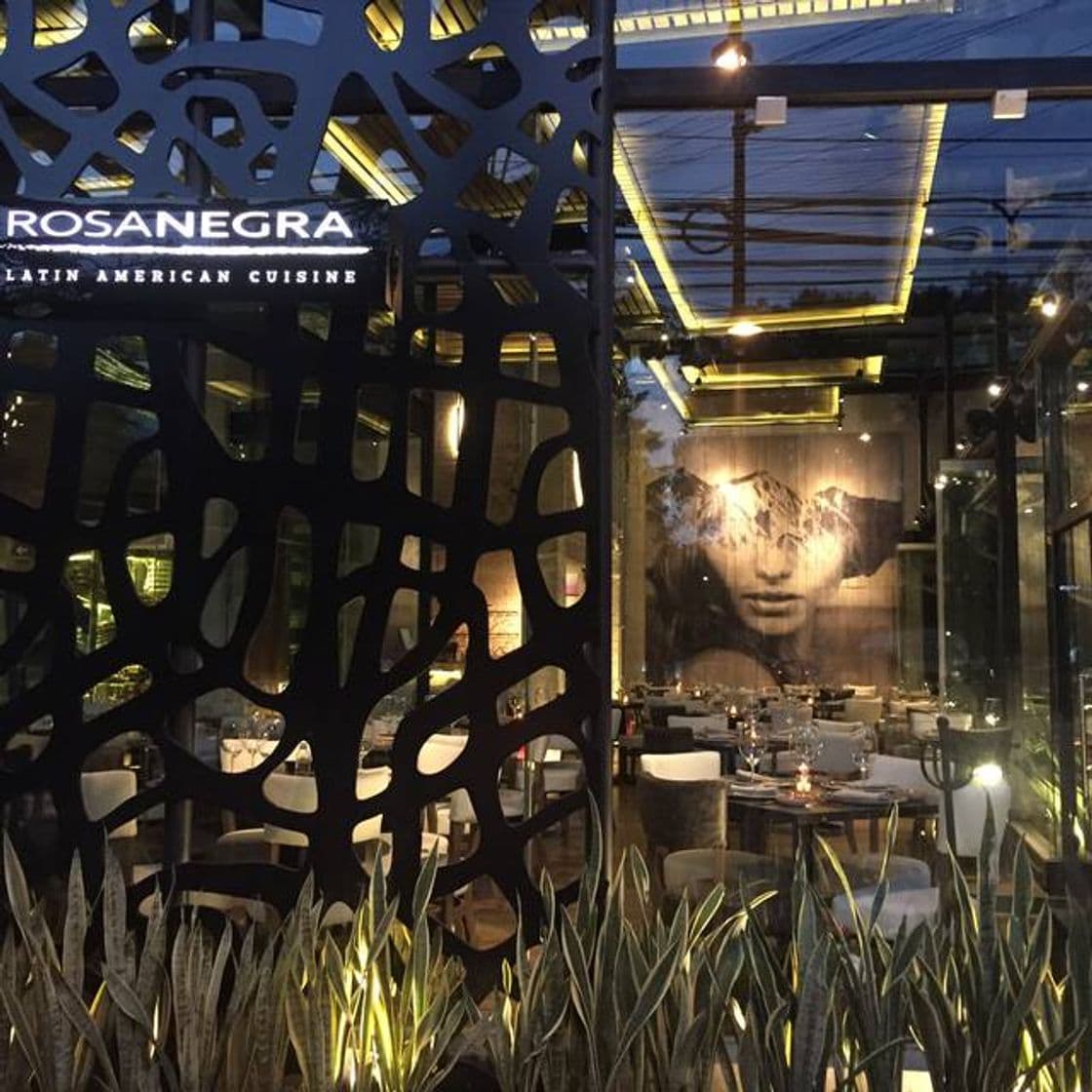 Restaurants Rosa Negra Polanco