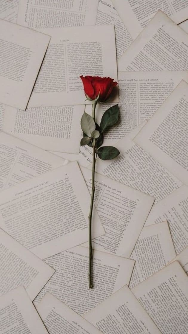 Fashion Wallpaper rosa 📖🌹