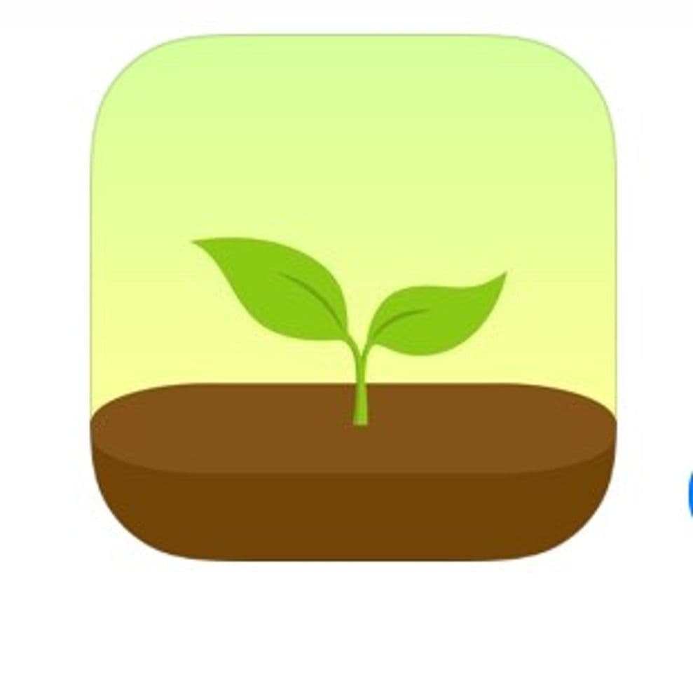 App Forest