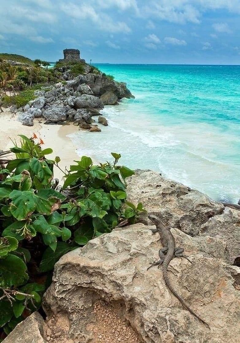 Place Tulum