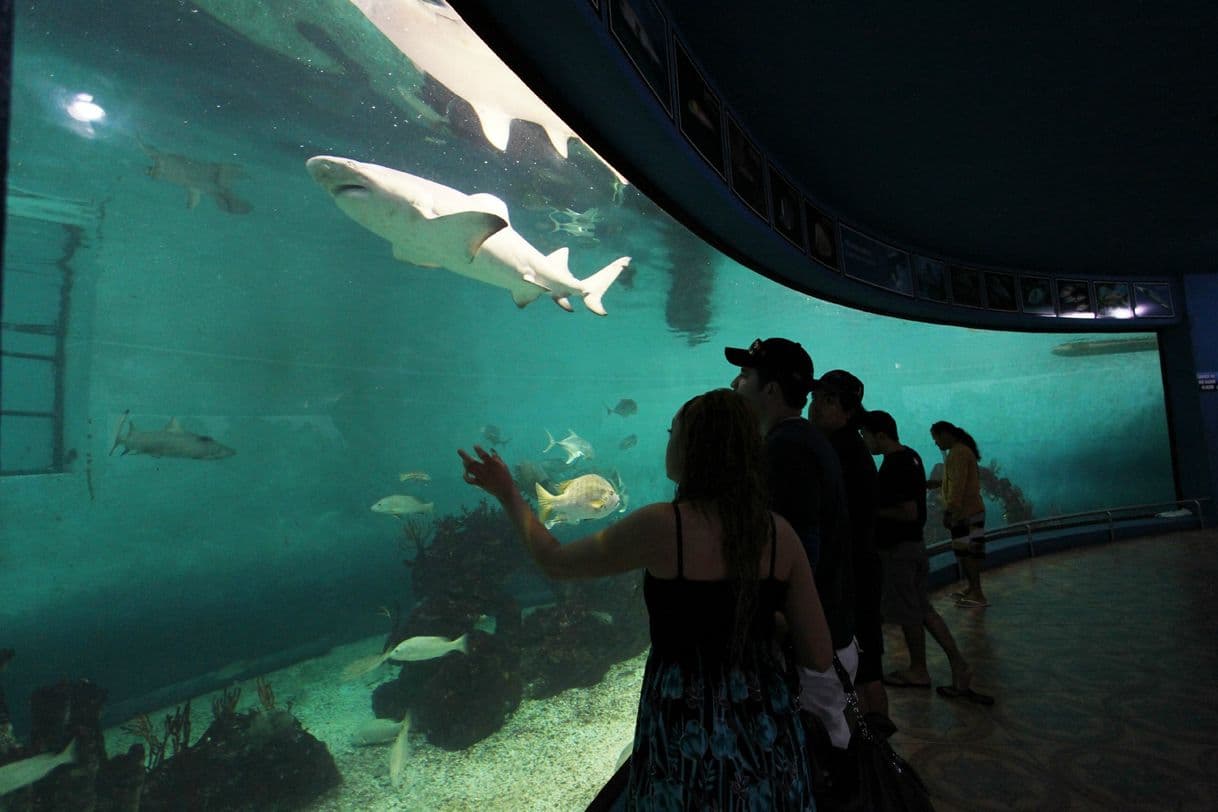 Place Acuario Mazatlán