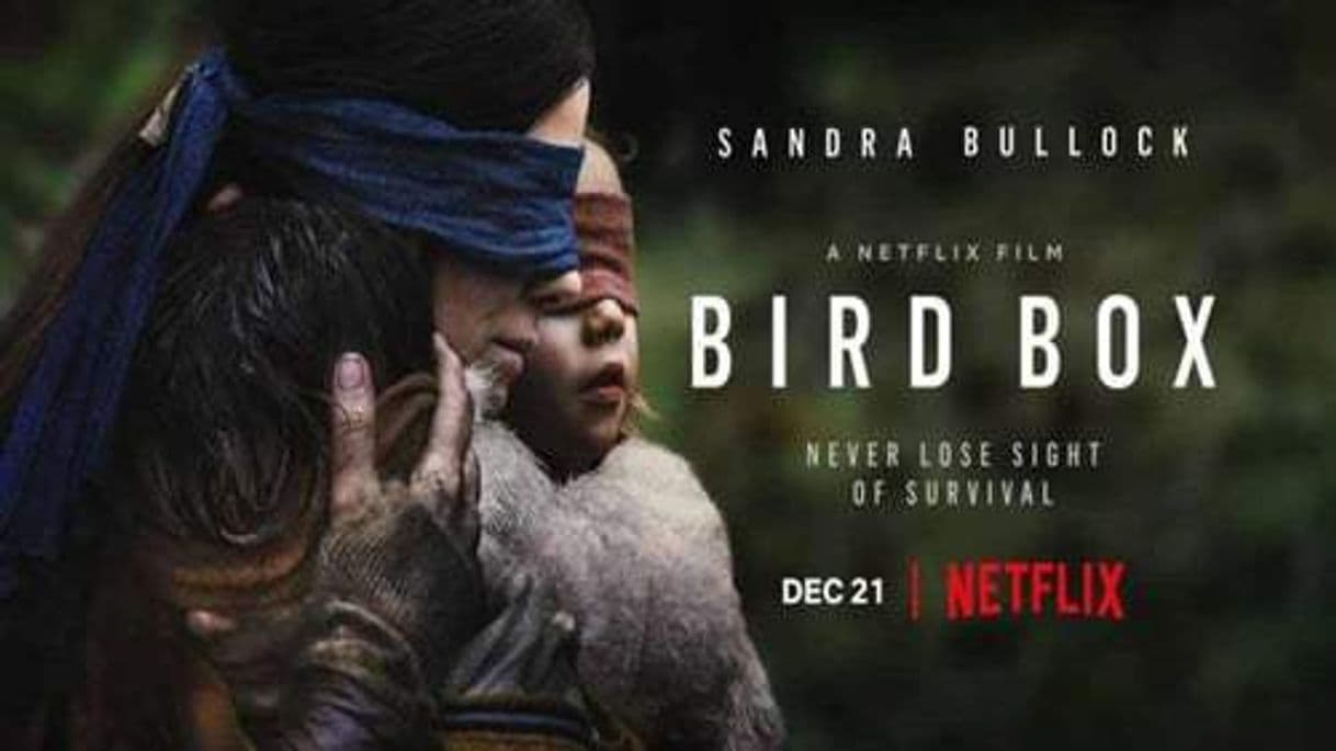 Película Bird Box