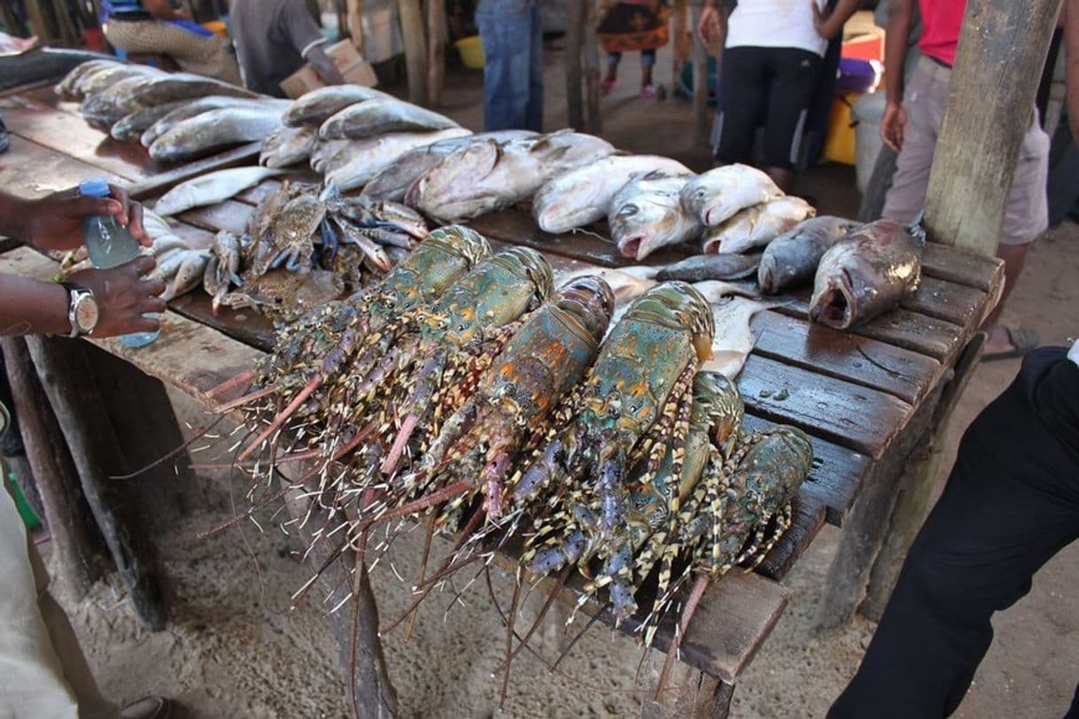 Restaurantes Mercado do Peixe