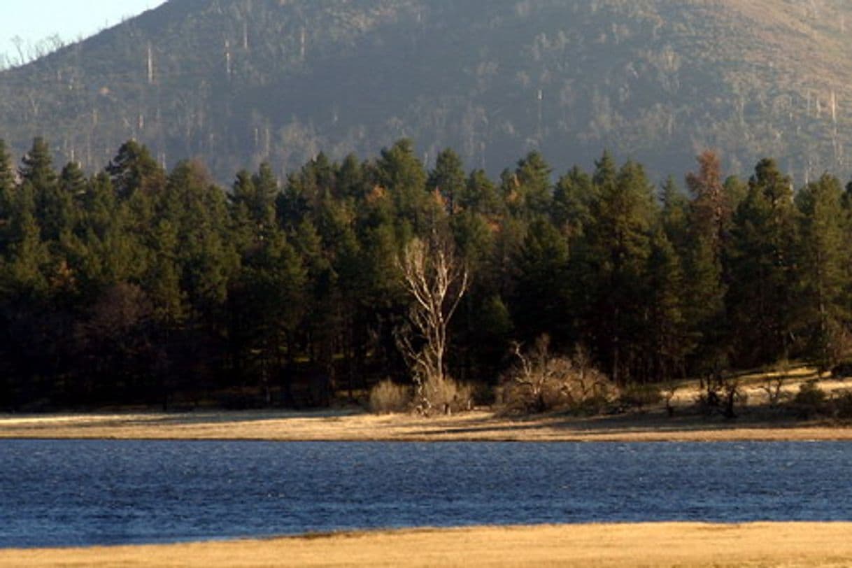 Lugar Cuyamaca Rancho State Park