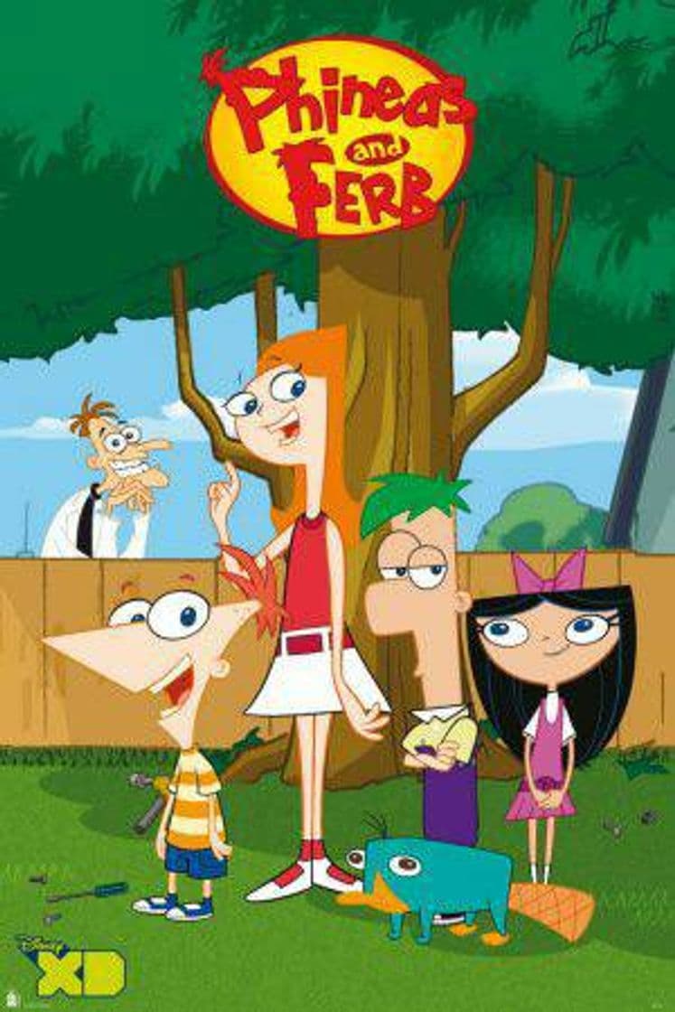 Moda Phineas and Ferb 