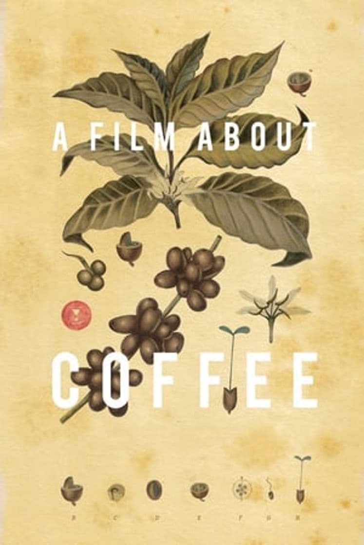 Movie A Film About Coffee