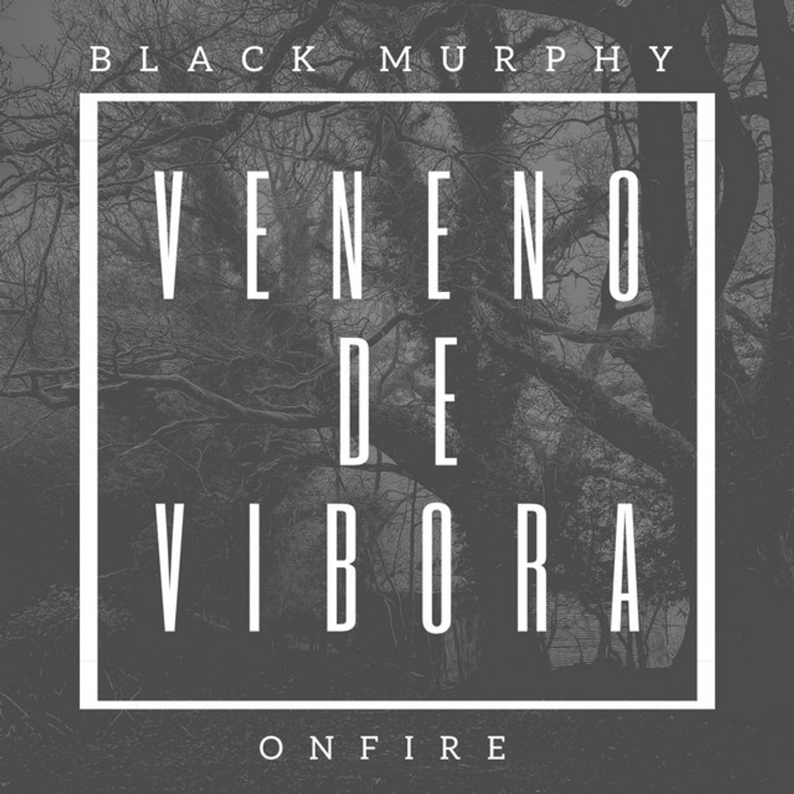 Canción Veneno de Víbora