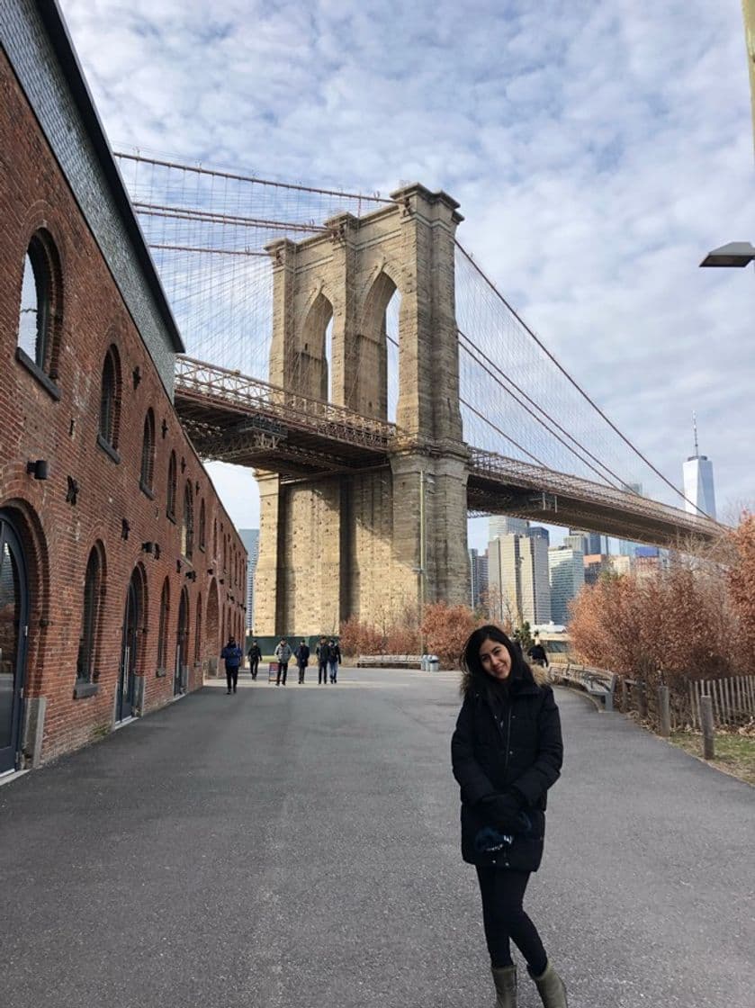 Lugar Brooklyn Bridge