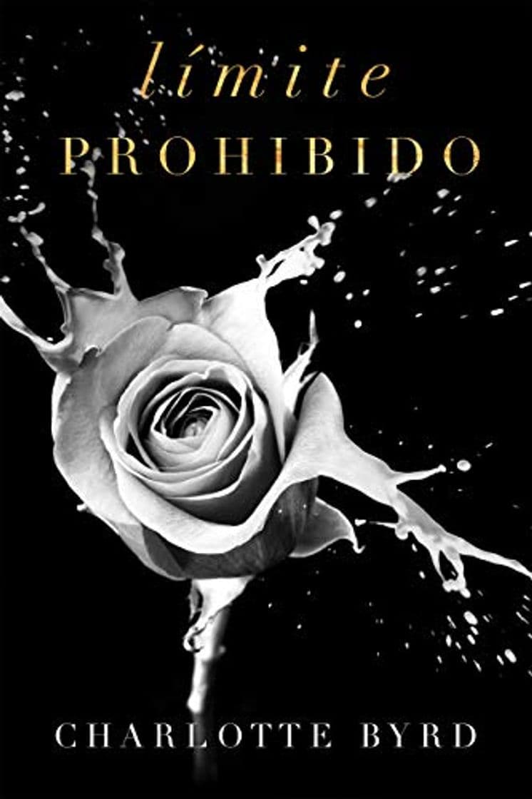 Libro Limite Prohibido