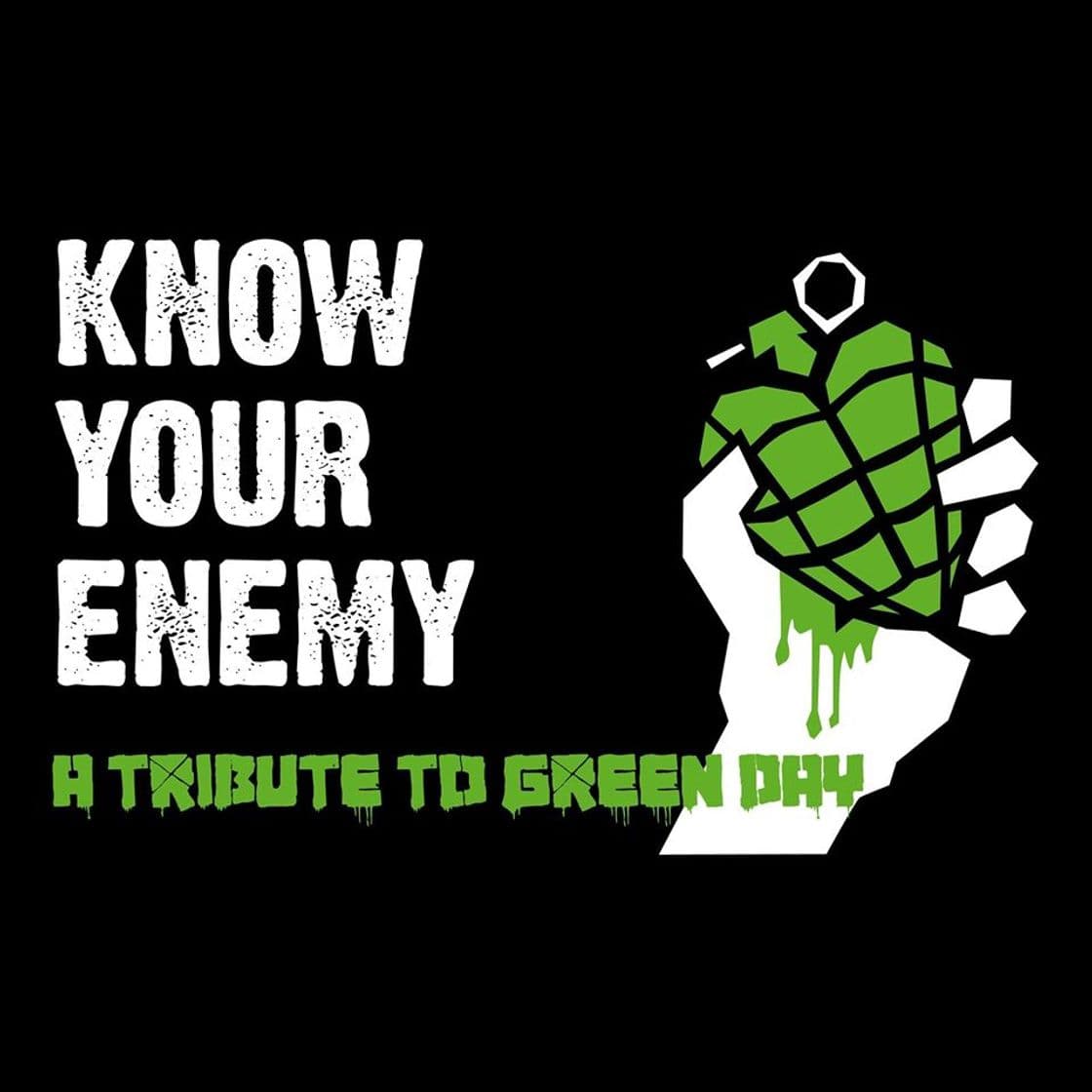 Canción Know Your Enemy