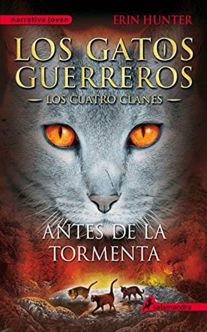 Book Antes de la tormenta: Los gatos guerreros - Los cuatro clanes IV