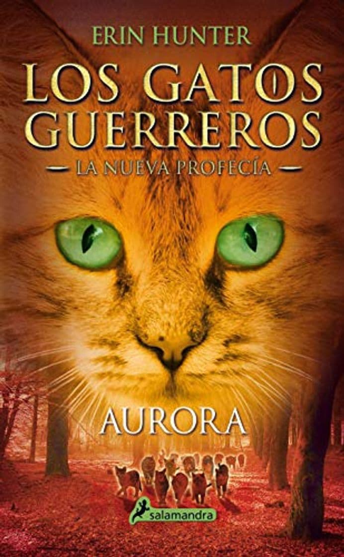 Book AURORA