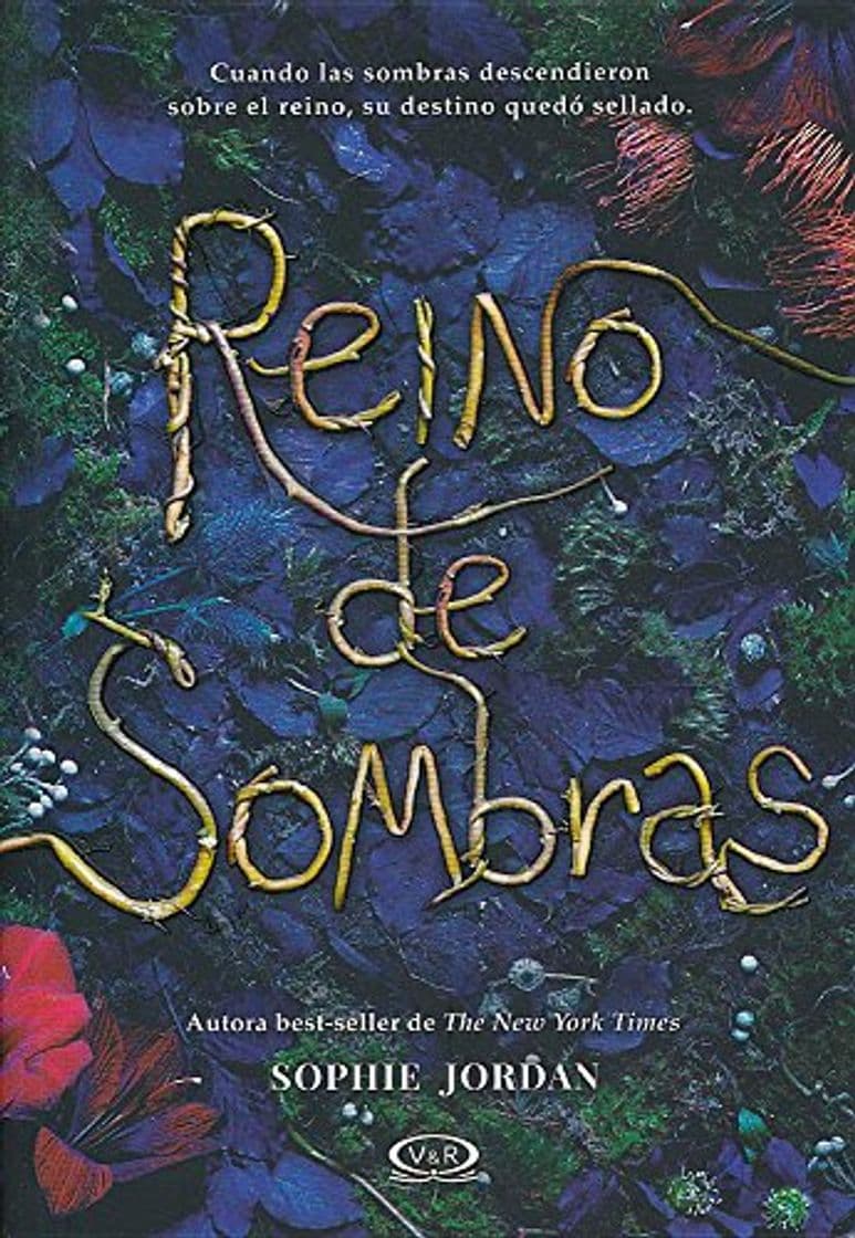 Libro Reino de Sombras