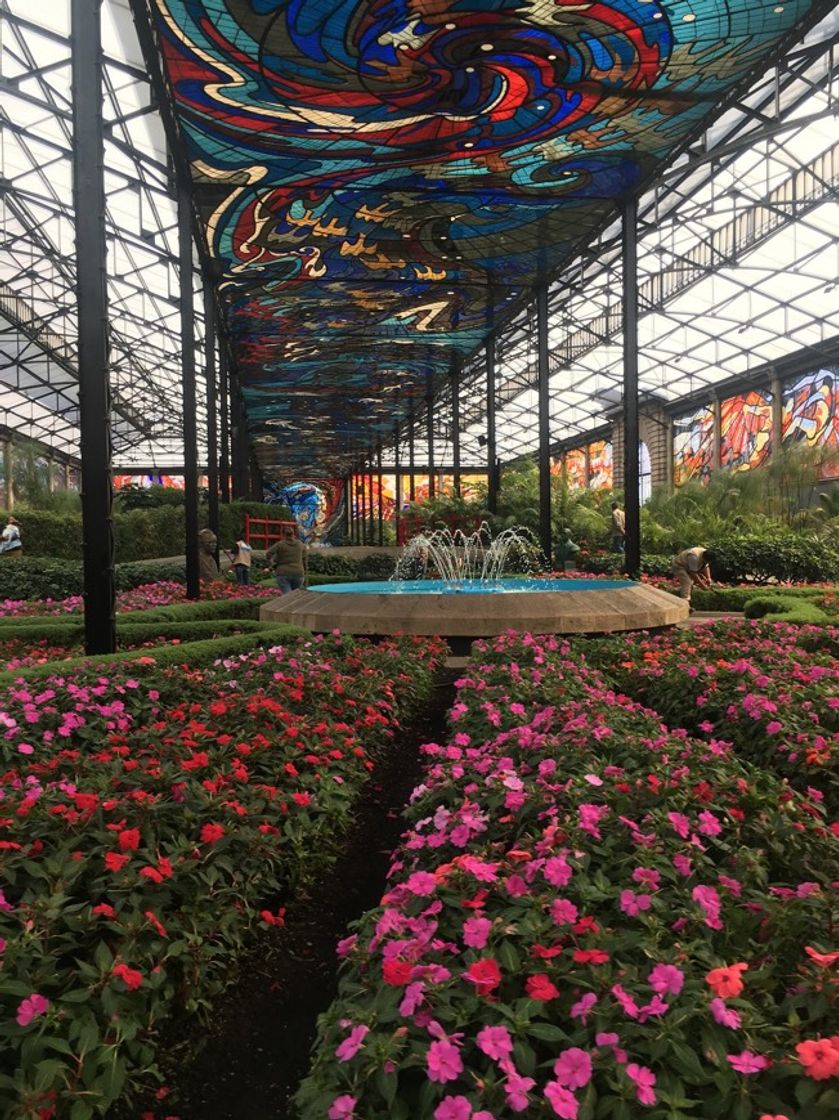 Lugar Cosmovitral Jardín botánico Toluca