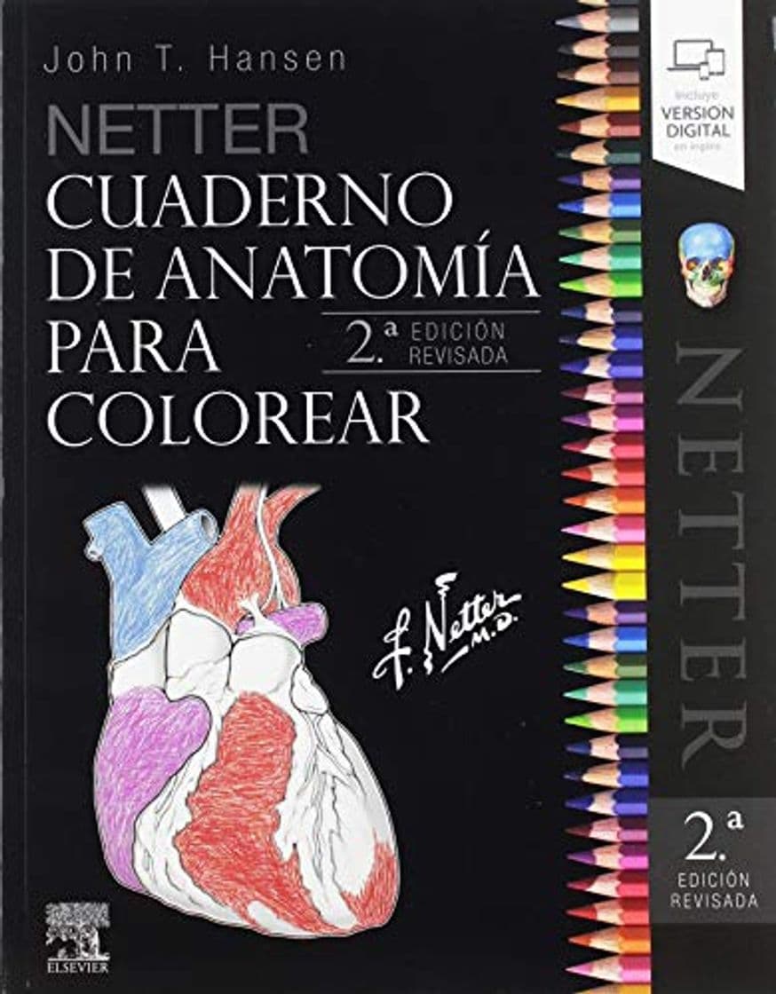 Book Netter Cuaderno de anatomía para colorear