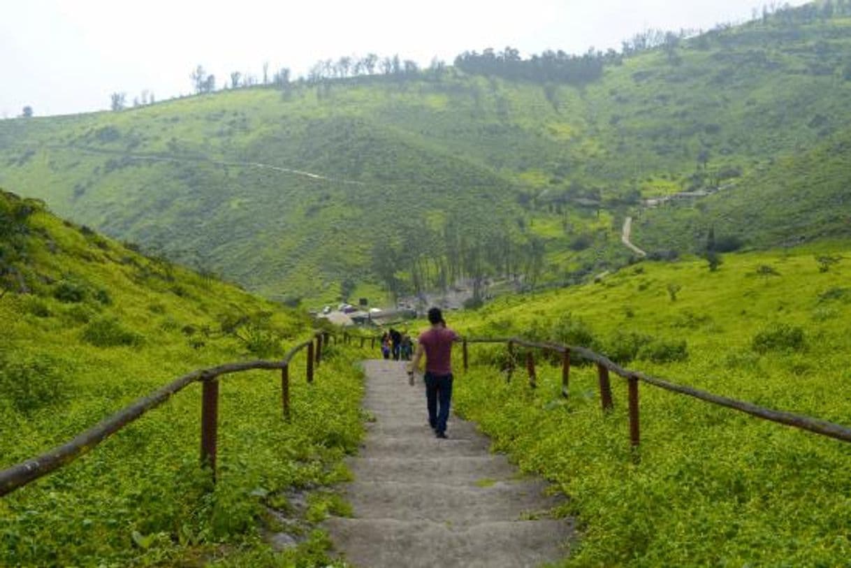 Lugar Lomas de Lachay