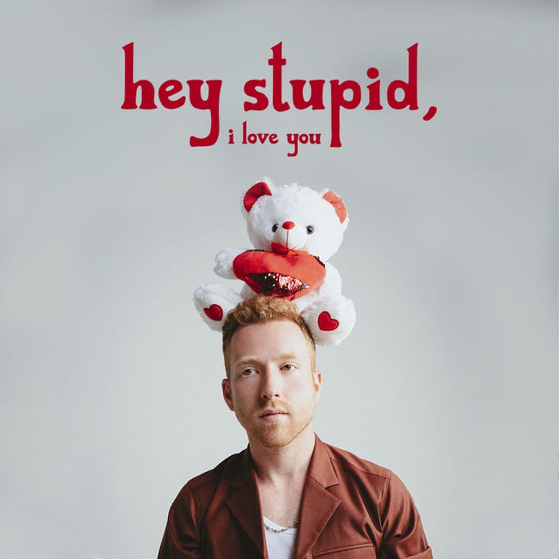 Canción Hey Stupid, I Love You