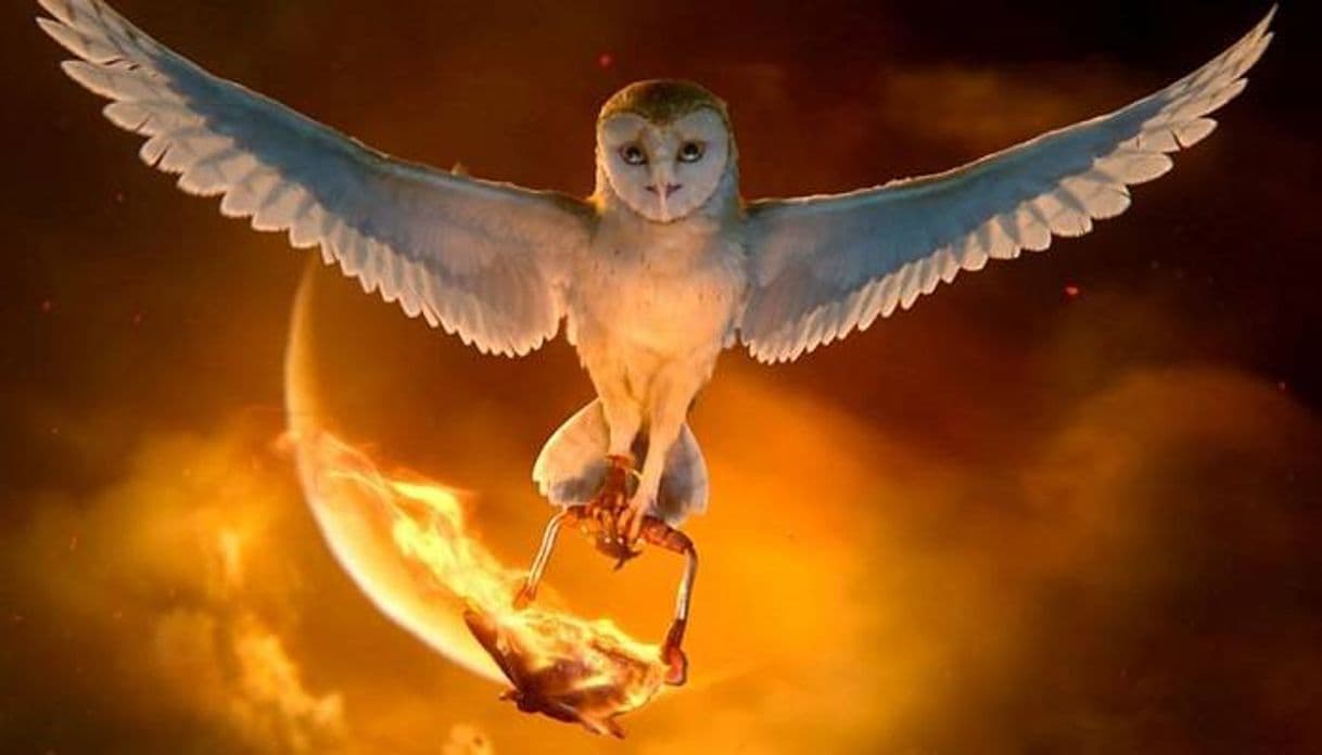 Movie Legend of the Guardians: The Owls of Ga'Hoole