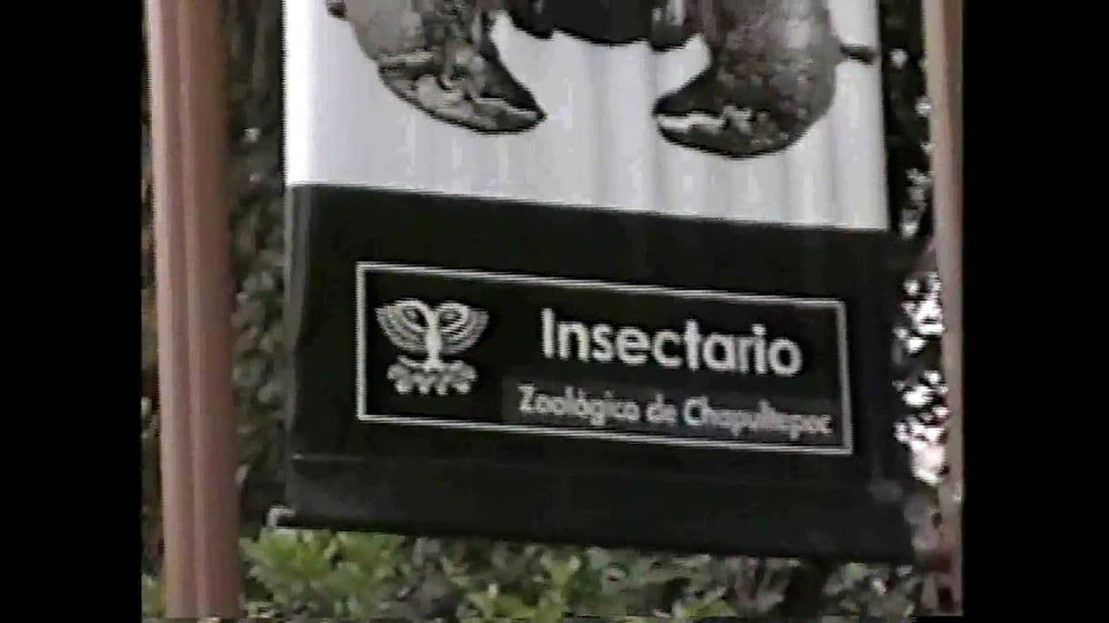 Place Mariposario e Insectario