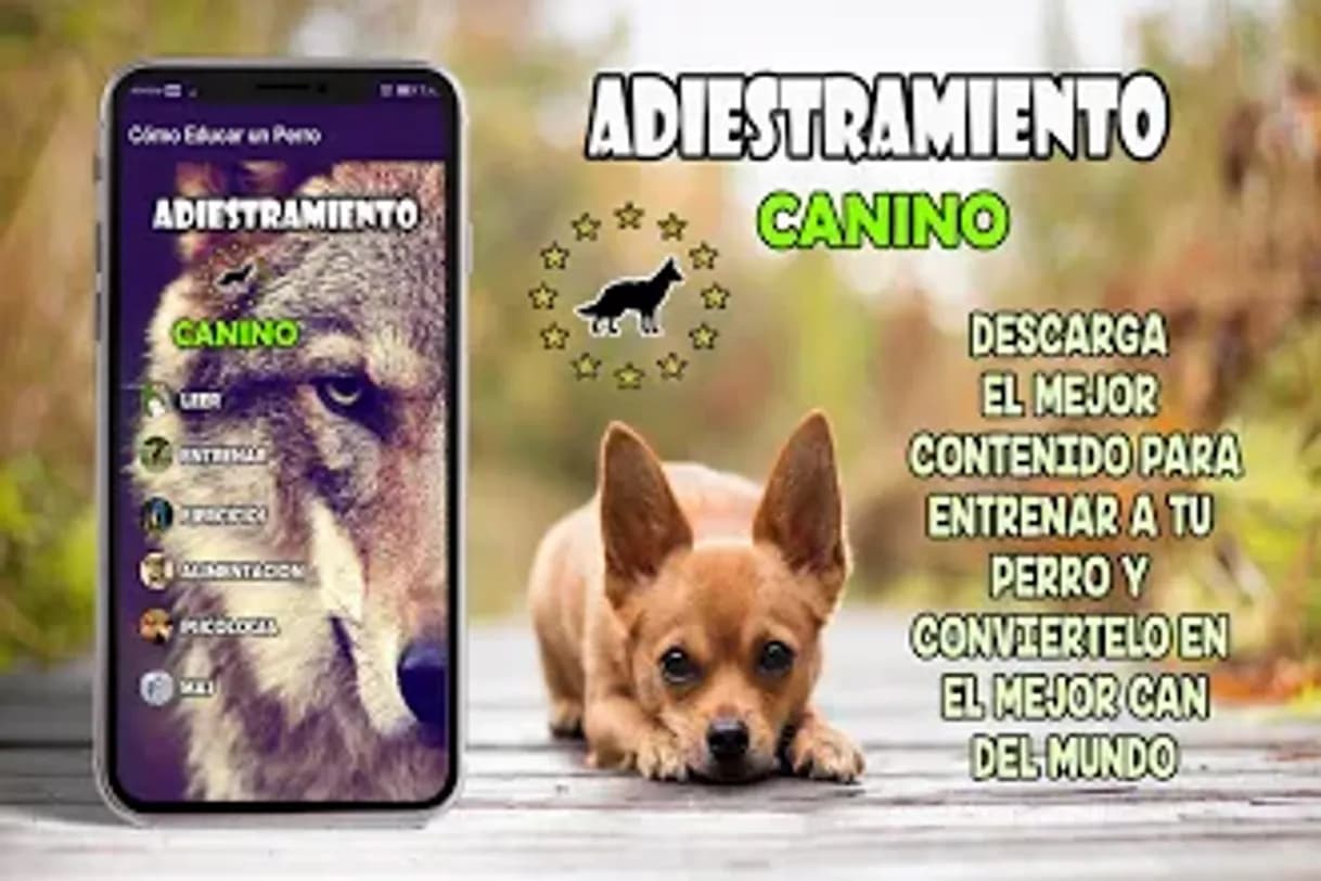 Fashion 🐶Adiestramiento canino🐕