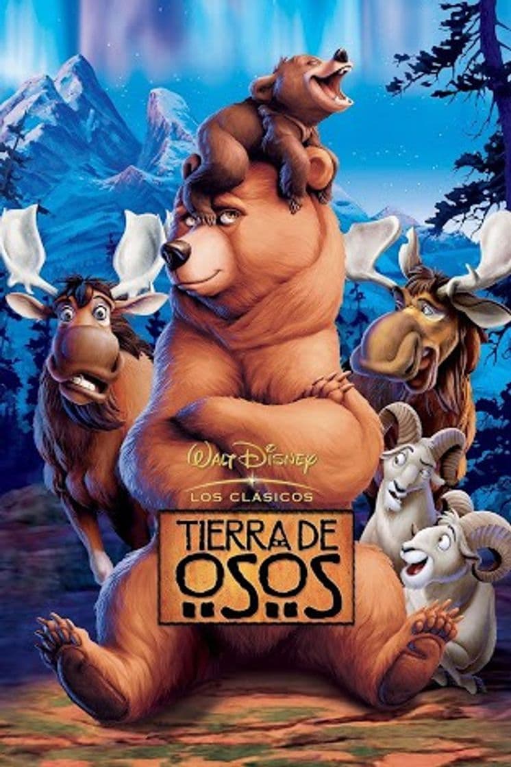 Película Tierra de osos