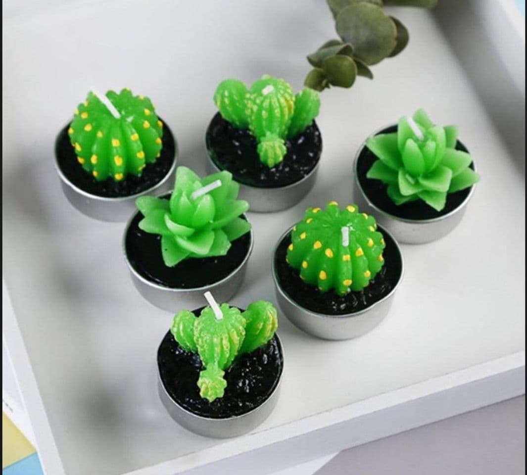 Producto Velas de cactus