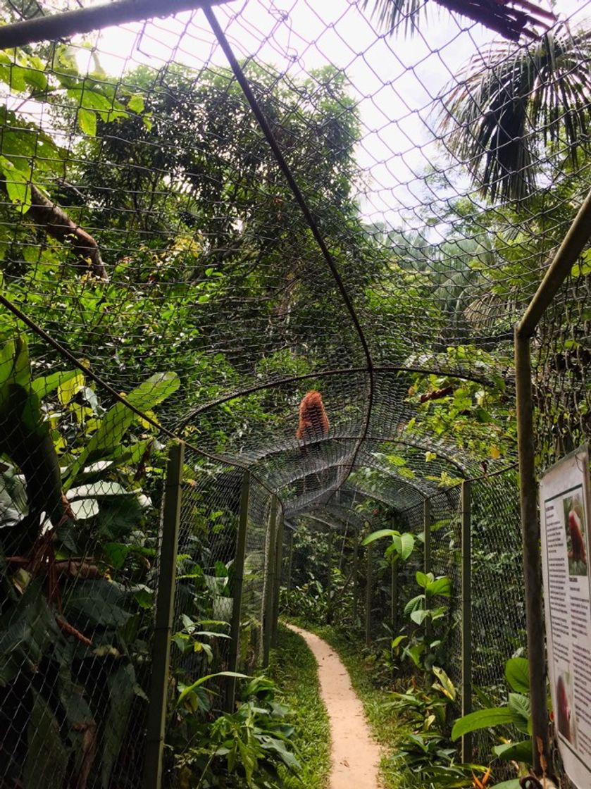 Place Mariposario Pilpintuwasi